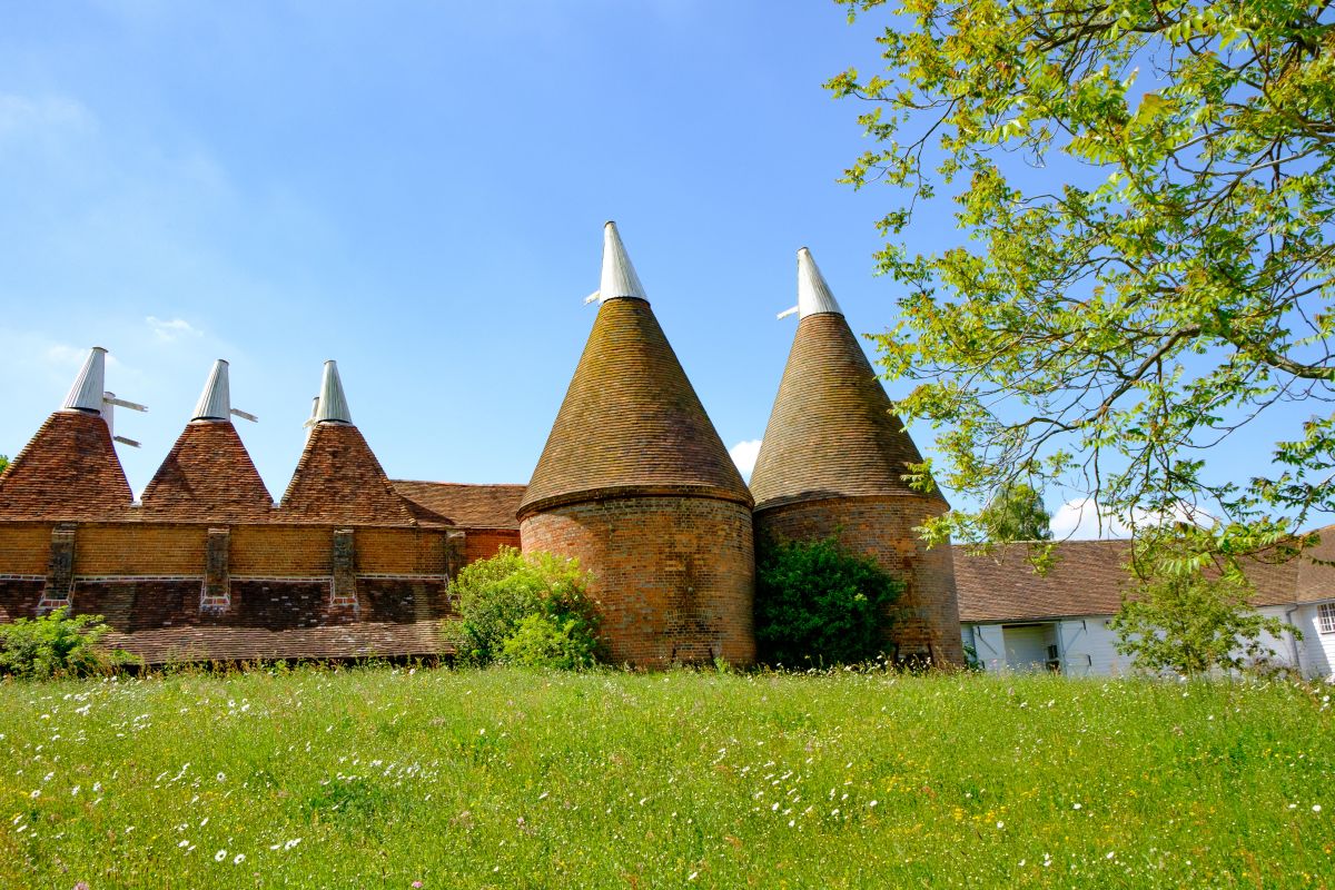 Photograph of traditional Kent farm buildings with oast houses.