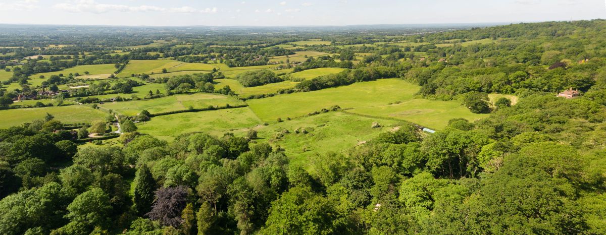 Photograph of undulating green fields and forests.